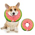 thumbnail image 1 of Collar inflable para perros con forma de rosquilla para recuperación, rosa, S-L, 1 of 7
