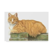 Trademark Fine Art 'Orange Cat On Perch' Canvas Art by Francien Van Westering