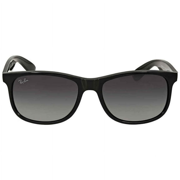 Ray-Ban RB4202 ANDY Sunglasses For Men For Women