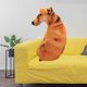 thumbnail image 5 of Adorable juguete de peluche para perro, regalo creativo, almohada para abrazar, cómoda almohada para dormir. Estilo B, 5 of 9
