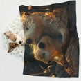 thumbnail image 6 of Pofeuu Adorable Otter Pair Hug Print Puppy Blanket,Dog Blankets,Pet Blanket Cozy Cat Blankets for Indoor Cats, Fuzzy Pet Blanket for Kitten Doggy Dog Blankets-Small, 6 of 8