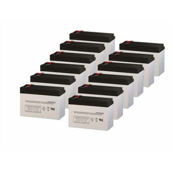 Alpha Technologies 1500-3000 Batteries de Remplacement Tower UPS - Ensemble de 12