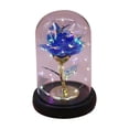 thumbnail image 5 of DefiDgd Valentine's Day Rose Gifts for Women,Glass Rose Flower Light Up Rose in Glass Dome,Birthday Xmas Valentines Gifts for Women Mom Wife Grandma(B), 5 of 7
