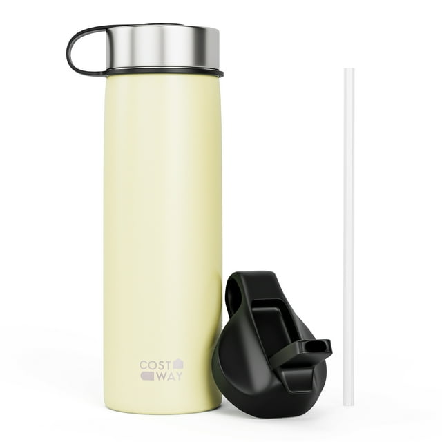Costway 22 oz Double Wall Insulated Water Bottle Stainless Steel w/ 2 Lids & Straw