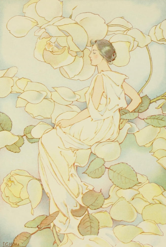 Dream Roses 1897 Wo