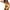 Yellow, variant on sonwsong One Piece Swimsuit Women,Women's Wrap Push Up Swimsuit Bathing Suit Swimwear High Waist Monokini,Swim Suits for Women 2024,Modest Swimsuits,Costume,(Clearance) Purple L