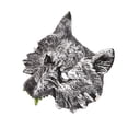 thumbnail image 1 of Minnieouse Cubierta de cara de hombre lobo de Halloween, pieza facial exquisita, tocado ligero con cordones, viseras, velo, caras, guardia, fiesta Disfraces de disfraces Minnieouse AP012779-00, 1 of 6