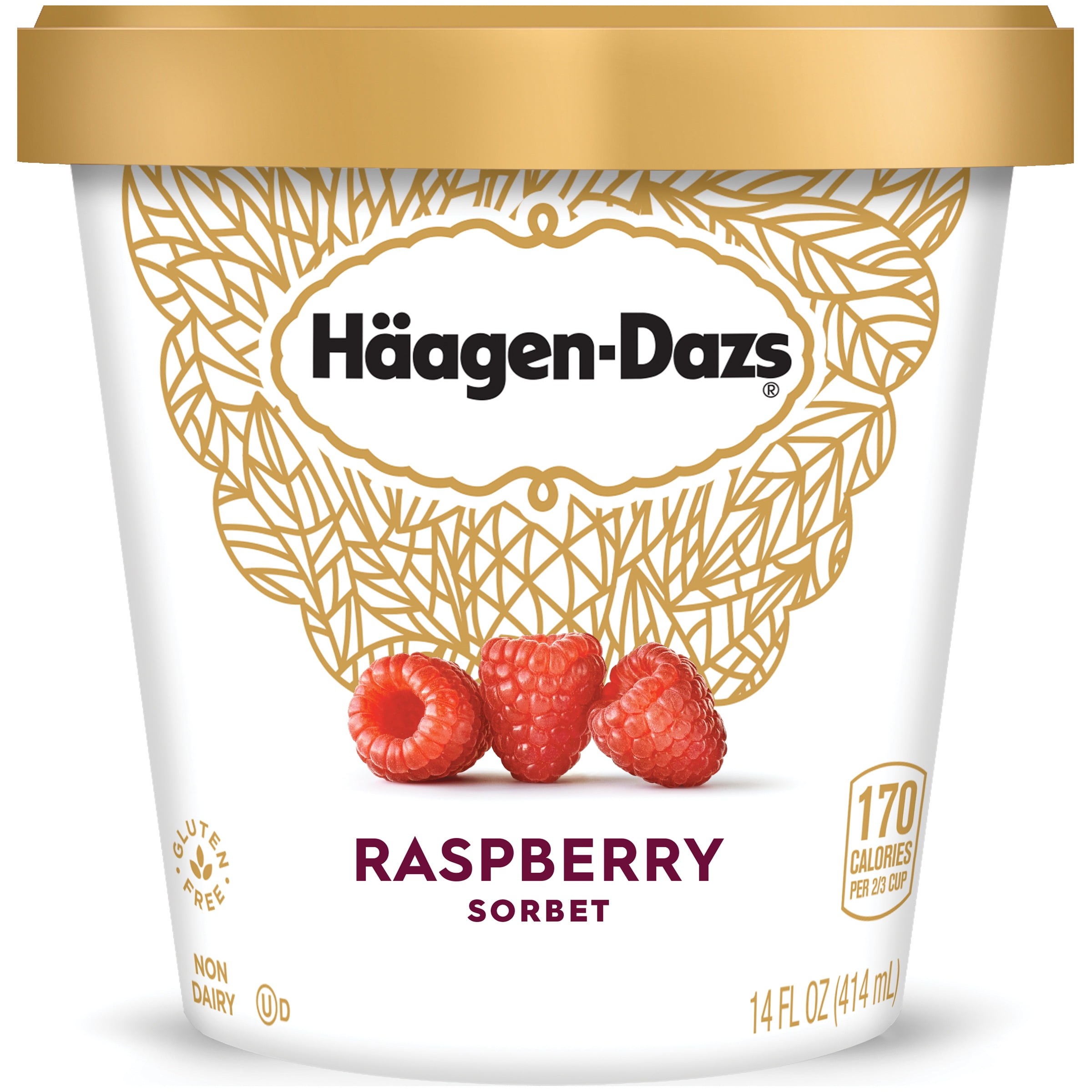 HAAGENDAZS Raspberry Sorbet 14 fl. oz. Cup