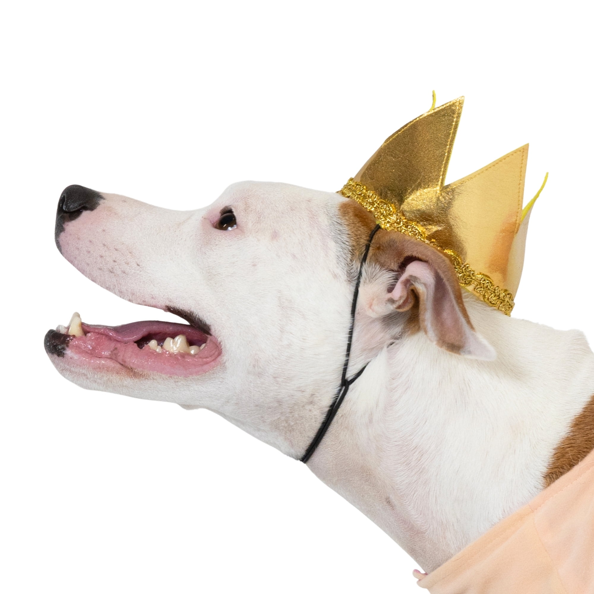 Vibrant Life Halloween Good Witch Costume for Dogs, Pink and Gold, Medium
