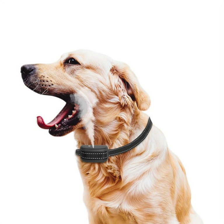  Citronella Bark Collar Waterproof IPX67, Spray Bark Collar  with 3 Adjustable Spray & Sensitivity Level, Rechargeable Citronella Dog  Collar, Humane Anti Barking Collar for Small Medium Large Dogs : Pet  Supplies