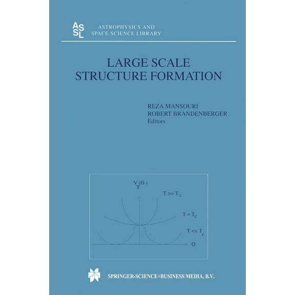 Astrophysics and Space Science Library Large Scale Structure Formation, Book 247, (Paperback)