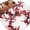 White Deep Red, variant on Runner Rug 2 x 6 Ft, Red Plum Washable Non-Slip Floor Mat for Kitchen Hallway/Entryway, Nature Flowers Branches Chinese Painting Long Kitchen Runner Area Rugs for Living Room, Low-Profile