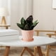 thumbnail image 1 of pstuiky Macetas de resina de estilo escandinavo para plantas verdes de un galón concisas gruesas de larga duración de imitación de plástico de cerámica para el hogar de gran tamaño., 1 of 6