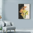 thumbnail image 3 of Trademark Fine Art 'Centerpiece I' Canvas Art by James Burghardt, 3 of 4
