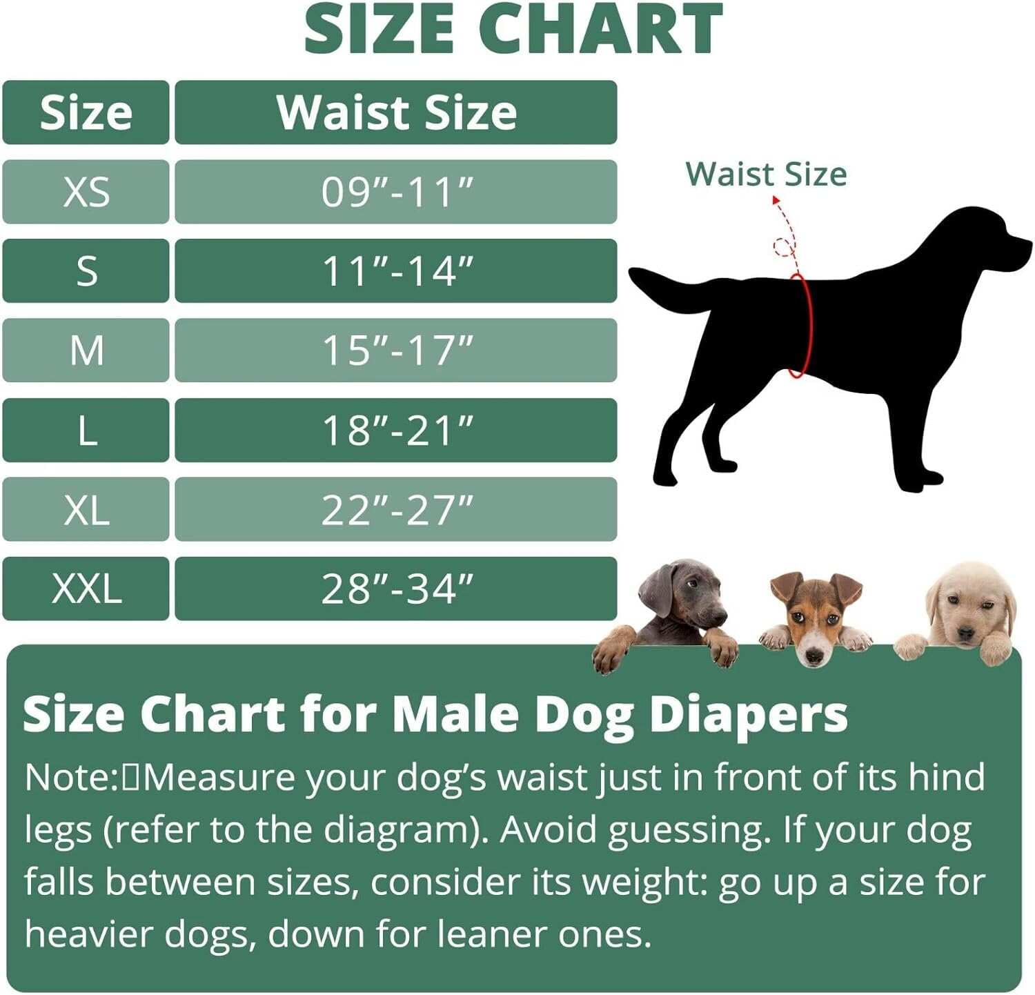 Paw Legend Washable Dog Belly Wrap Diapers for Male Dog (3 Pack),Green and Grey,Large