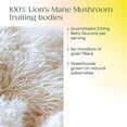 thumbnail image 5 of MegaFood Superfood Mushroom Focus Support - Lion's Mane & Bacopa - Vegan - 30 Servings, 5 of 10