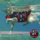 thumbnail image 3 of Chaleco salvavidas Dogcheer Cute Shark para nadar, color negro, talla XS, 3 of 7
