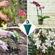 thumbnail image 2 of 50 unidades de estacas verdes para plantas, varillas de soporte de bambú con cinta de papel de 30 yardas y 50 ataduras para plantas, 2 of 5