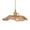Light brown, variant on oshhni Flower Pendant Light Classic Hanging Lamp for Kitchen Restaurant Dining Room Light brown
