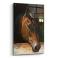 thumbnail image 2 of Epic Art 'Quakertown Horse' by Julie Bel, Acrylic Glass Wall Art, 24"x36", 2 of 8