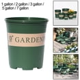 thumbnail image 2 of Plastic Gallon Flower Pot Balcony Flower Succulent Flower Pot Green Pot + Tray .3 Gallons, 2 of 9
