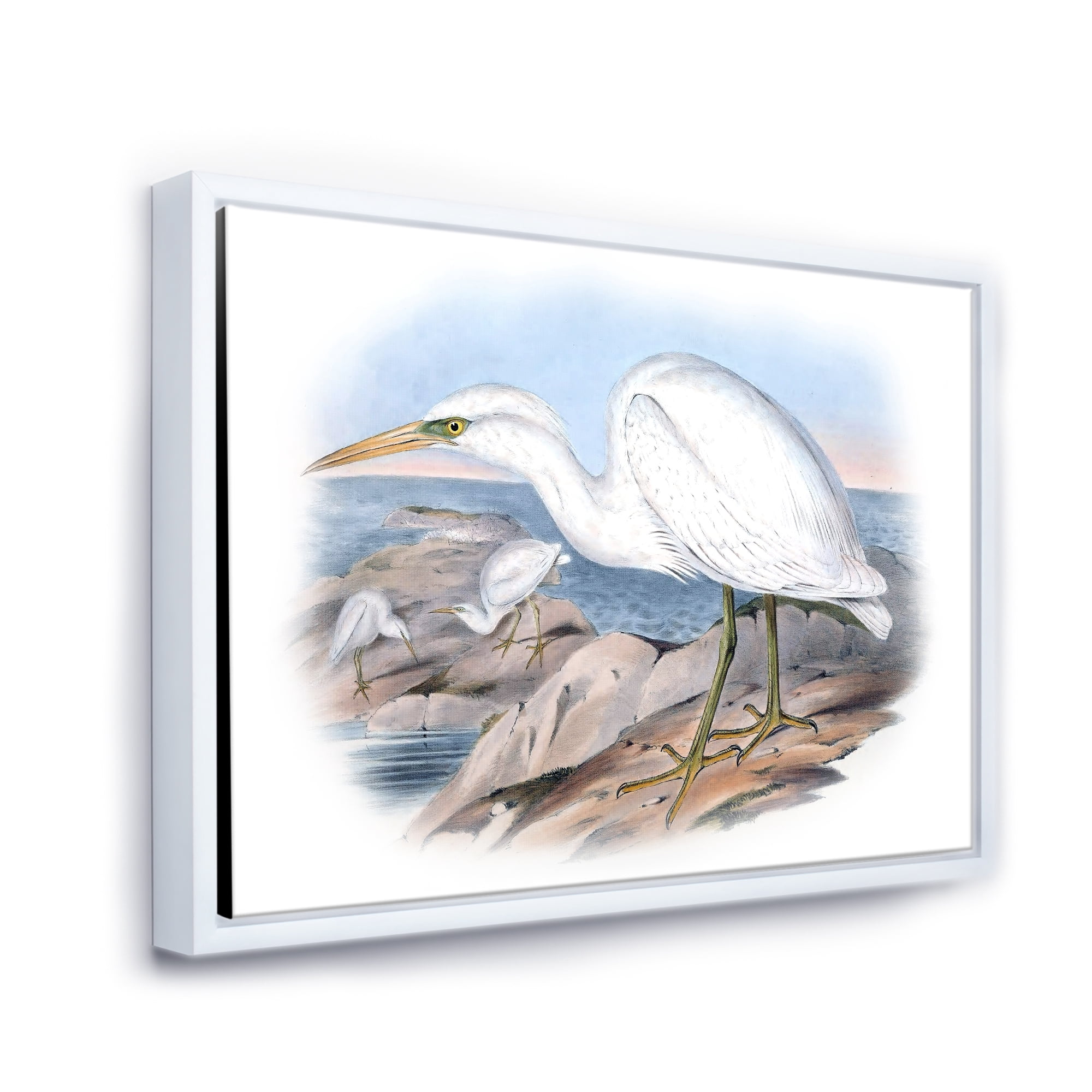Designart 'Ancient Australian Birds XIII' Traditional Framed Canvas Wall Art Print