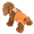 thumbnail image 3 of Pañal Para Perro Reutilizable De 6 Tamaños, Pantalones Sanitarios, Para Perro Hembra, 3 of 4