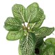 thumbnail image 3 of Plantas Artificiales Decoración Ornamento Submarino Verde Peces De Acuario Tanque Falso De Las Hojas Unique Bargains, 3 of 5