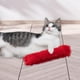 thumbnail image 3 of Cat Catnip Toy Chew Toy Entretenido Ejercicio Mascotas Accesorios 2x, 3 of 9