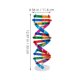 thumbnail image 2 of Modelo de ADN de 3 piezas: Kit de modelo de ADN de doble hélice DIY - Herramienta de aprendizaje de genes científicos para estudiantes - Juguete de estructura molecular para biología, 2 of 7