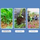 thumbnail image 5 of Pala de jardín de acero al manganeso forjado, pala pequeña liviana de acero inoxidable con bordes de doble cara para cavar, desmalezar, airear el suelo, herramienta de jardinería resistente a la, 5 of 6