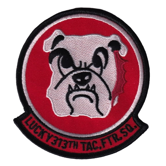 313th Tactical Fighter Squadron Patch – Hook and Loop, 4"