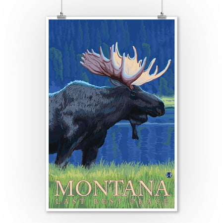 Montana, Last Best Place - Moose at Night - Lantern Press Artwork (9x12 Art Print, Wall Decor Travel (Best Places To Hike In Montana)