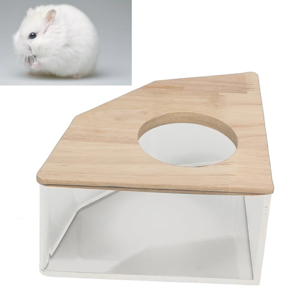 Box hamster cheap