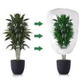 thumbnail image 3 of 4pcs Multipurpose Plant Covers Insulating Breathable Winter Protecting Simple Installation for Various Plant, 3 of 20