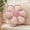 Beige, variant on Sage Green Decorative Throw Pillows Flower Daisy Shaped Pillow 16" Soft Floor Cushion for Couch Bed Chair Girls Room Bedroom Decor Aesthetic (1, Sage Green, 16 Inch)