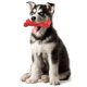 thumbnail image 5 of Juguetes para masticar perros para Chewers agresivos juguetes para perros tamaño y duraderos hechos con goma juguete duro para perros para Sunnimix juguetes para masticar cachorro, 5 of 8