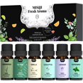 thumbnail image 1 of Set de aceites esenciales MISIJI Top 6 de aromaterapia para difusor, 60 ml, 1 of 6