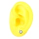 thumbnail image 5 of Modelo De Oreja Modelo De Oreja Humana Modelo De Oreja De Silicona Simulación De Silicona Suave Modelo De Oreja Humana Izquierda Pantalla De Oreja Modelo De Ayuda Para La ANGGREK  Otros, 5 of 8