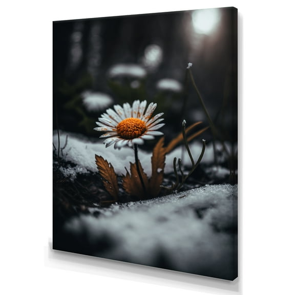 Designart A Blooming Orange Daisy Flower In Winter I Canvas Wall Art