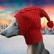 thumbnail image 1 of Gorro de punto cálido de invierno para mascotas, gorro cálido para perros, gorro para cachorros, gorro navideño para perros para caminatas, accesorios S, 1 of 8