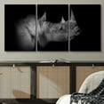 thumbnail image 2 of PixonSign Canvas Print Wall Art Set Pinhole Style Rhino Portrait Animals Wildlife Photography Realism Rustic Closeup Relax/Calm Dark Black and White for Living Room, Bedroom, Office - 24"x36"x3, 2 of 5