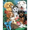 thumbnail image 1 of (Animal - L928) resina diamante perro diamante 30*40CM, 1 of 10
