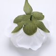 thumbnail image 3 of 10 piezas Vintage peonía artificial flores cabeza de tela perfecl Blanco, 3 of 8