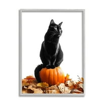 Stupell Industries Black Cat & Pumpkin Holiday Painting Gray Framed Art Print Wall Art, 16 x 20