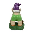 thumbnail image 2 of Oh My Gnome! Gnomchomsky Garden Statue, 2 of 5