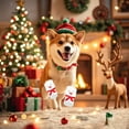 thumbnail image 5 of TIELUTT Socks for and Cats Holiday with Greeting Card Dog Accessories Poodle Accessories Accessories for the Dog Accessories for Dog Breeding Bowl Mat Dog, 5 of 5