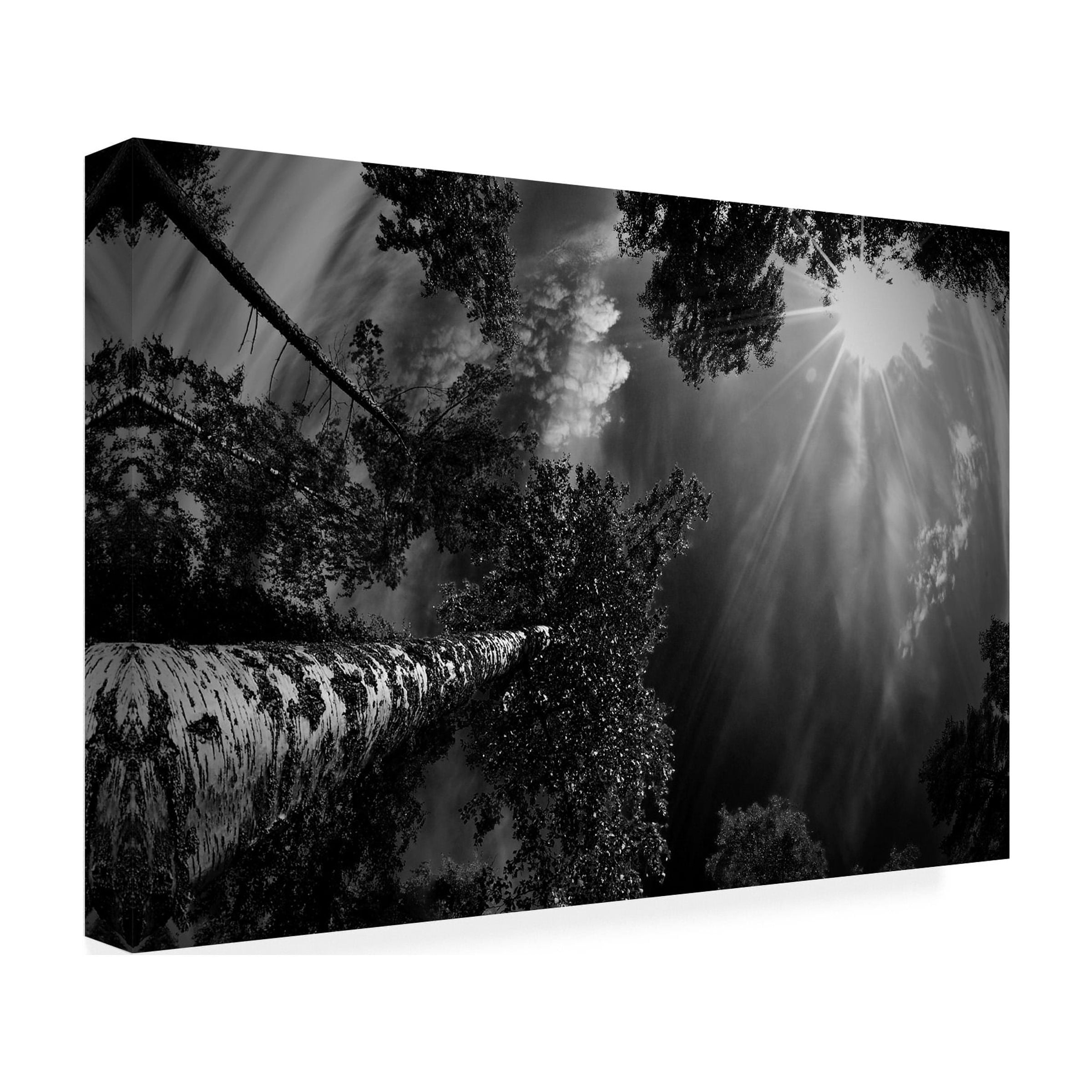 Mikael Jigmo 'Dreaming Before The Thunder' Canvas Art