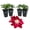 4 Plants, variant on Clematis Elpis - 2 Live Starter Plants - Bold Beautiful Climbing Red Flowering Vine