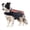Orange, variant on Spiked Dog Vest & Harness for Small Dogs, Coyote Hawk Predator Attack Protection, Adjustable Straps Lightweight Breathable Outdoor Safety Gear, Brown, Small